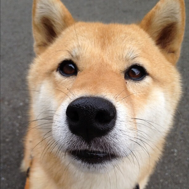 欧冠里程碑之夜,燃烧的蓝色,熄灭的蓝色