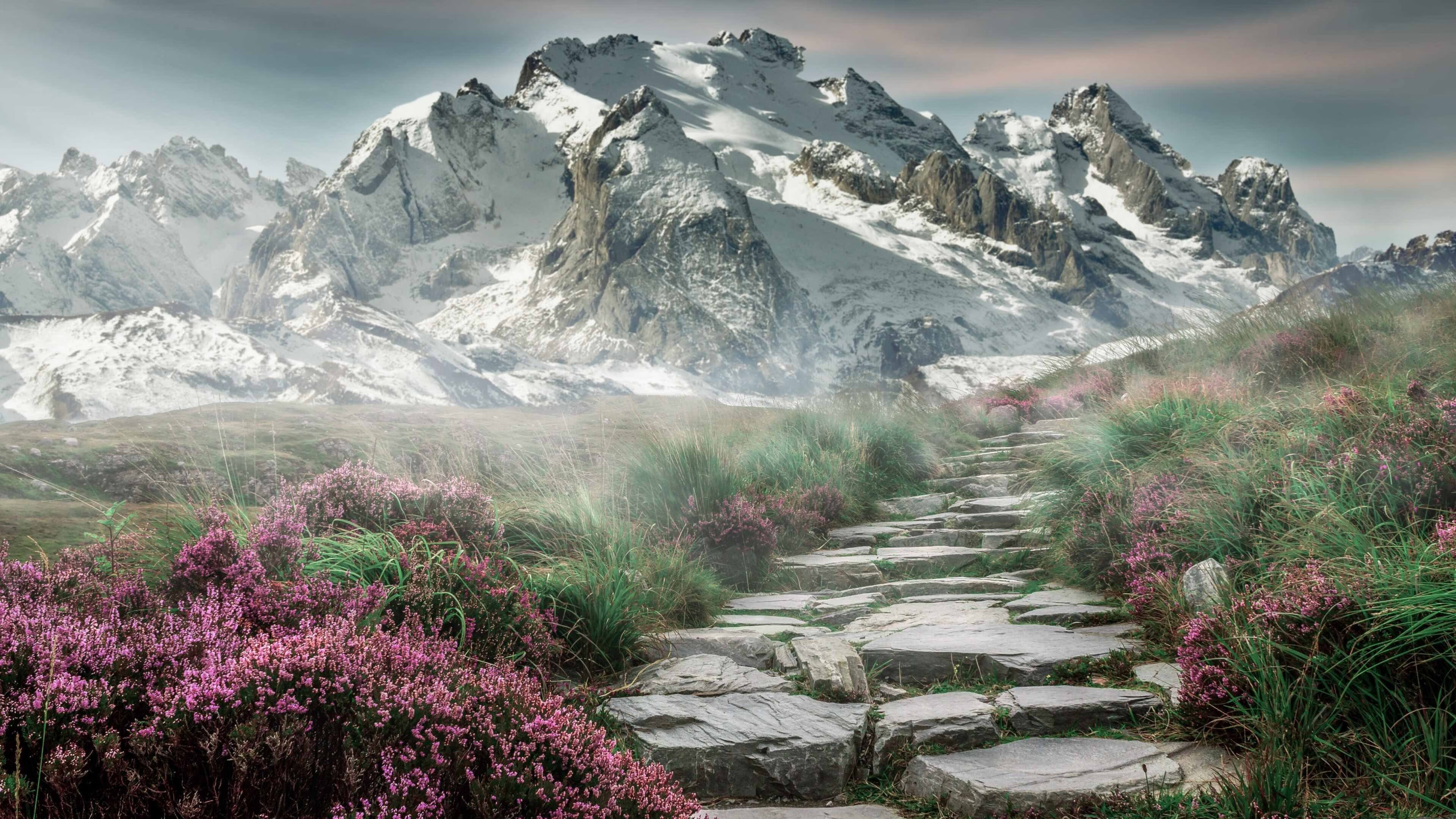 世界杯上的个体闪耀与整体力量，当拉什福德的星光遇见加纳的洪流