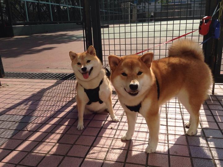 掌控时间的艺术，当NBA总决赛遇上国际米兰的节奏哲学