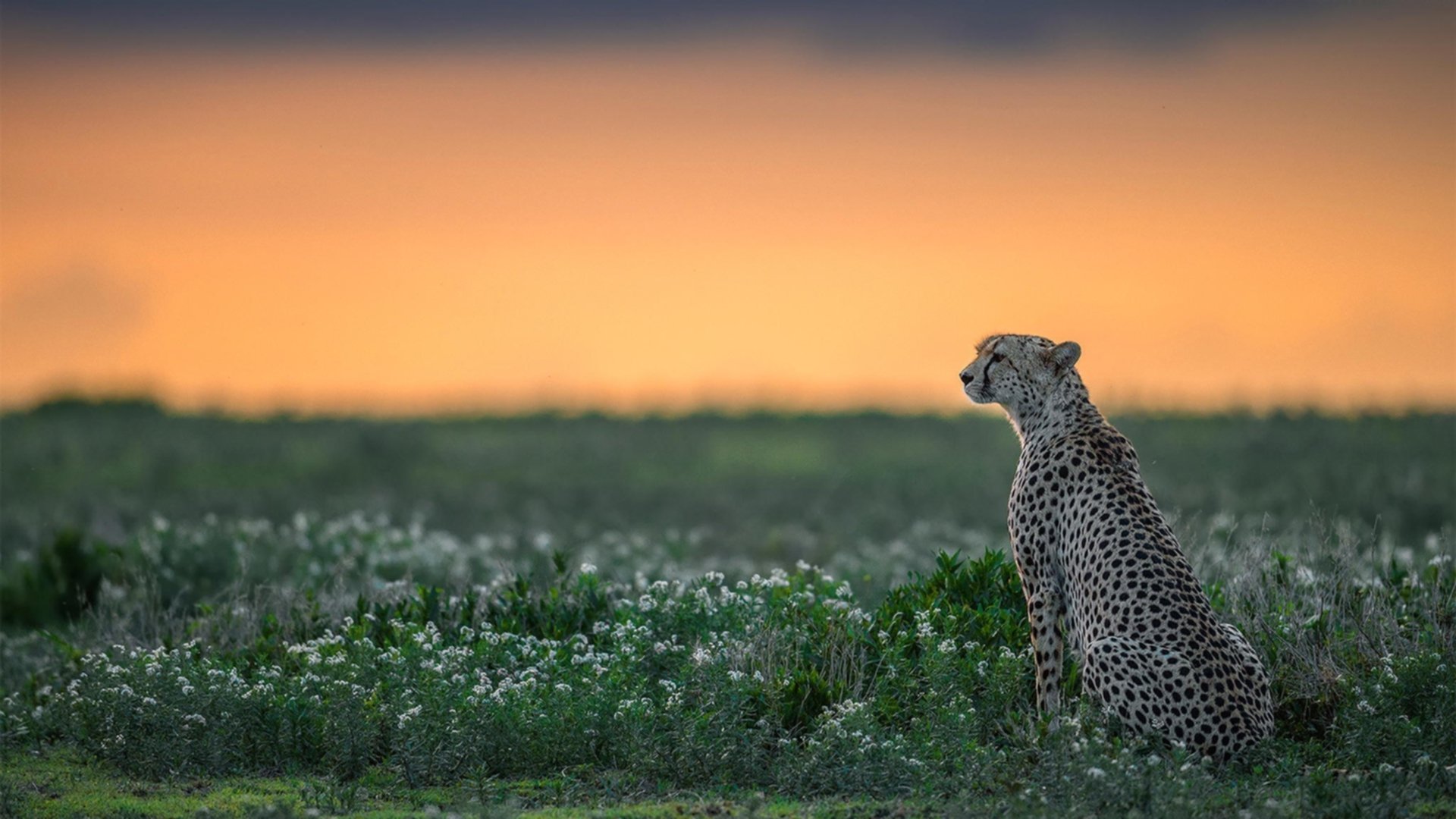 开云体育中国-东方魔法，久保建英用末节风暴改写美德足球叙事