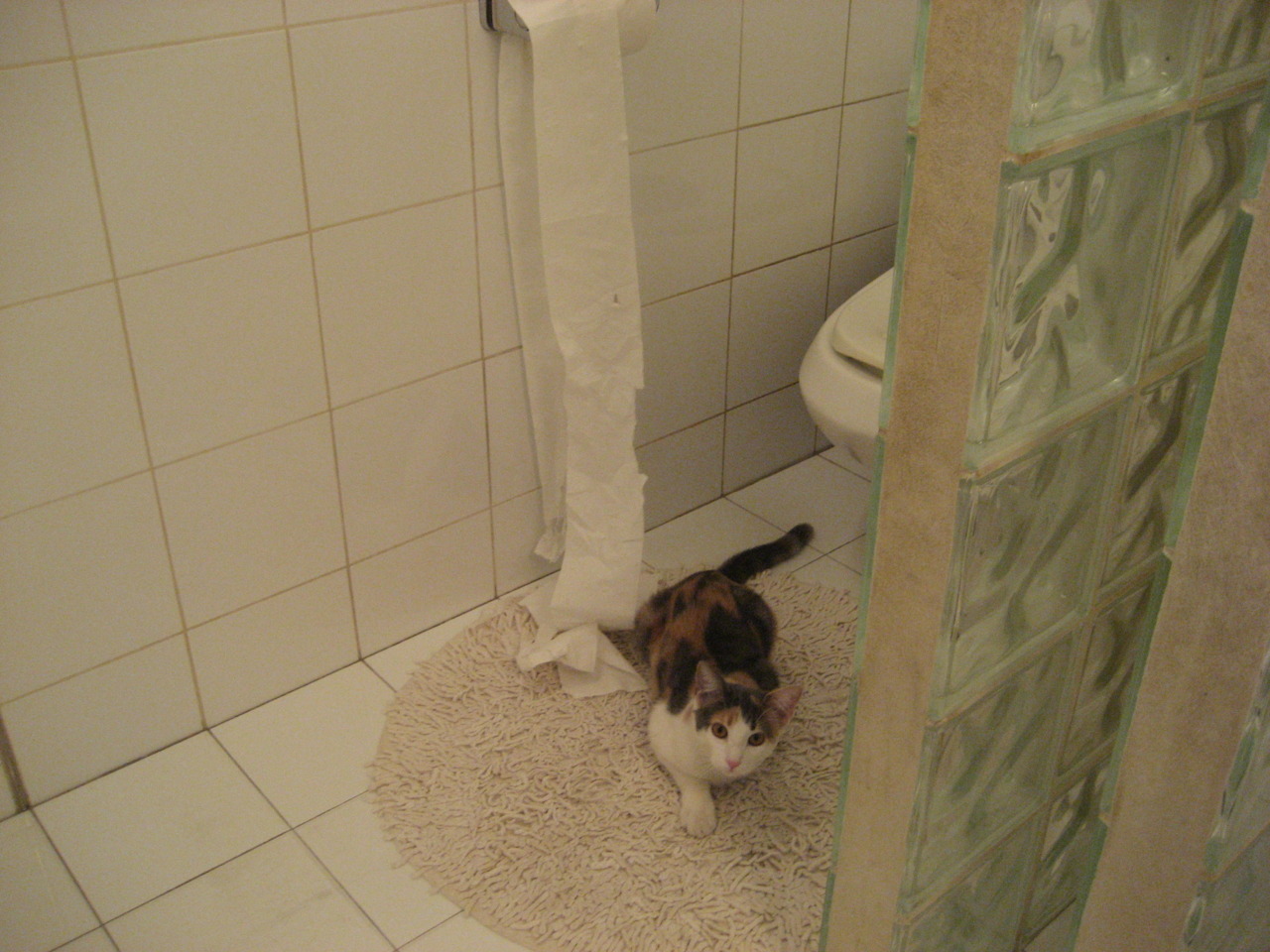 黄金蜂群碾碎苍穹,赛道之王接管城市,统治力是门跨界的艺术