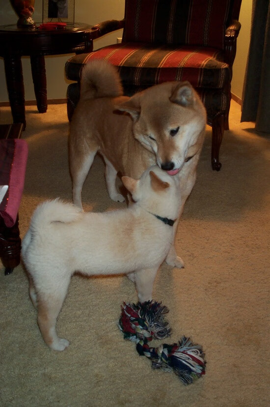 开云体育app-绿茵场上的跨界狂想，当NBA奇才队闯入欧冠决赛，布伦森接管了比赛