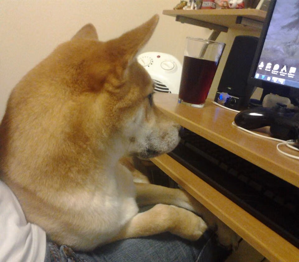 异乡的绝响，英格拉姆压哨一击，奇才险胜上海队