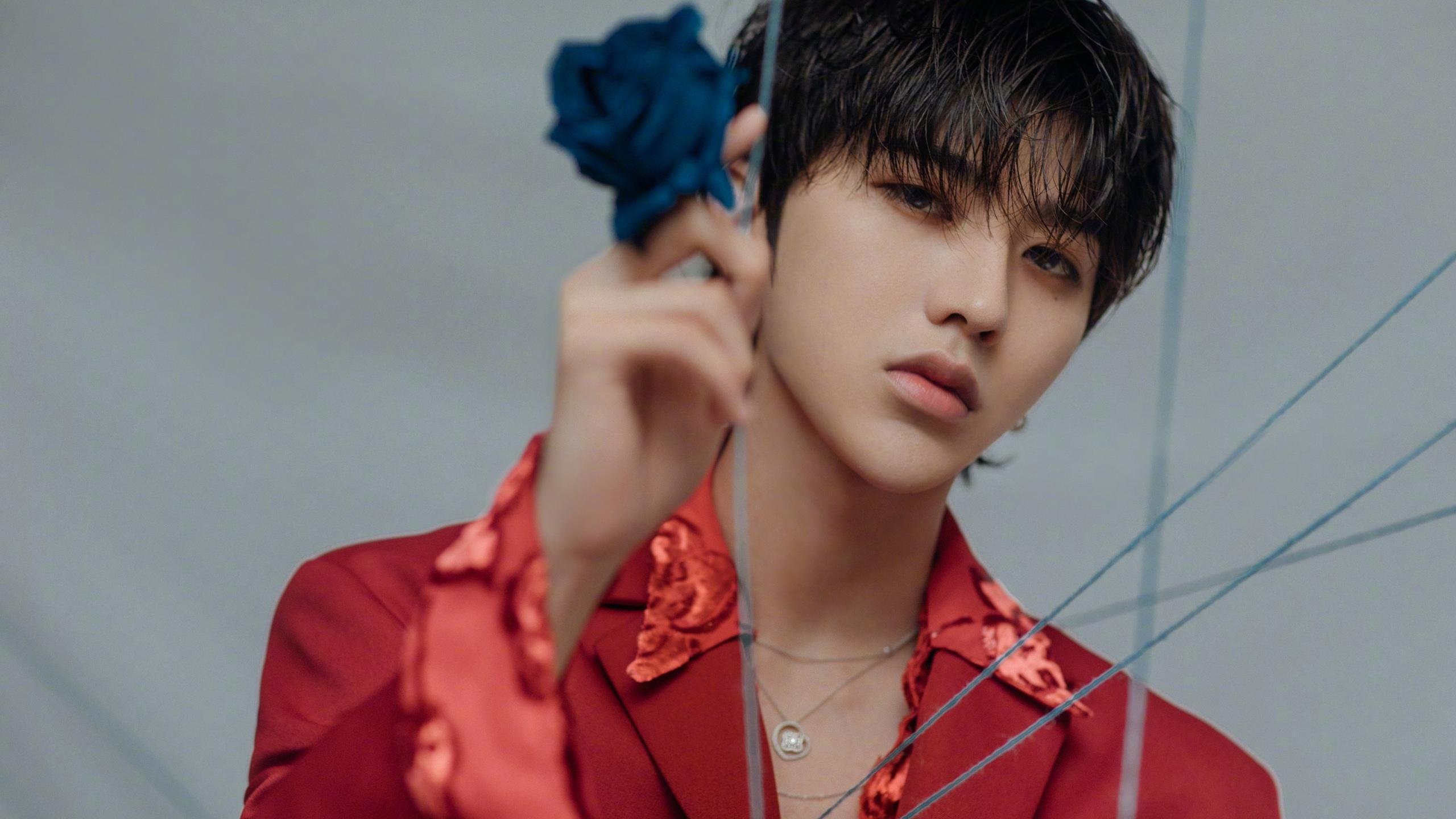 开云体育官网-蛰伏雄鹰用异邦战术铁链锁猛龙，贝恩冷血时刻宣告新时代降临