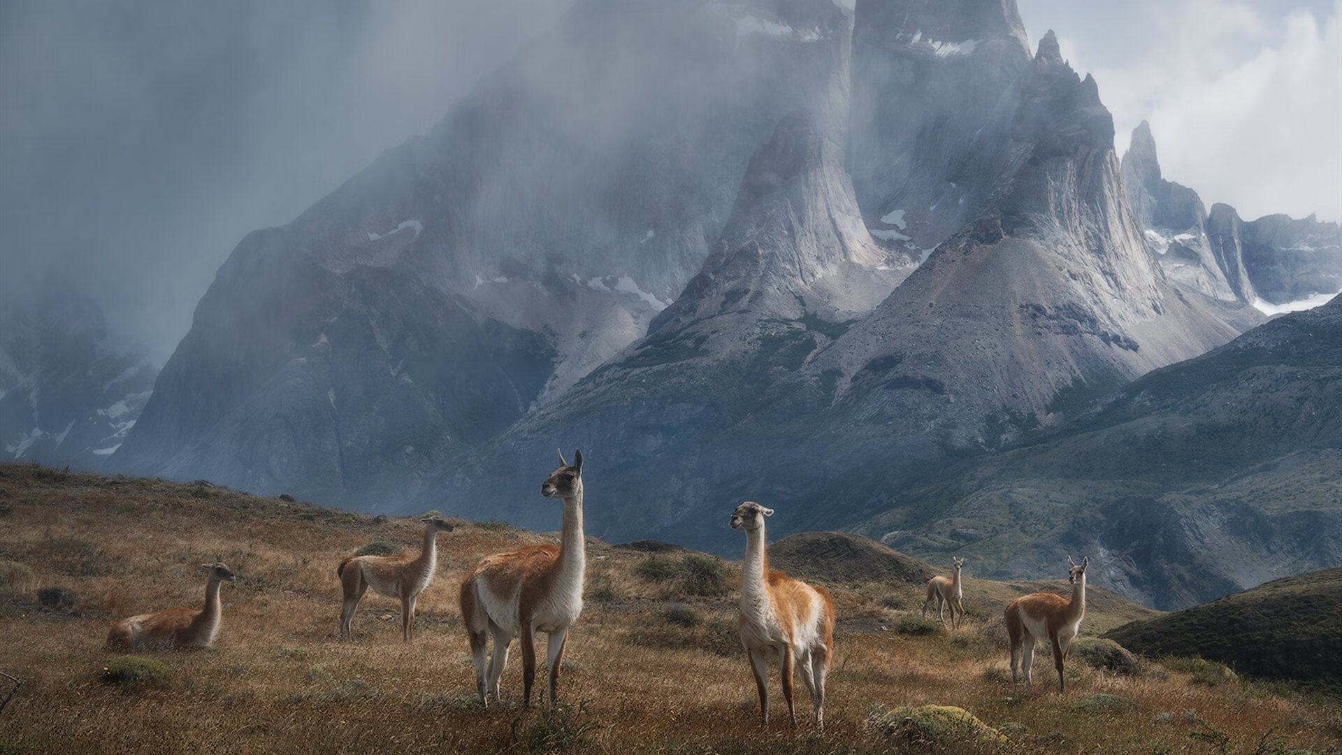 开云sport-大心脏，当舞台的聚光灯最亮