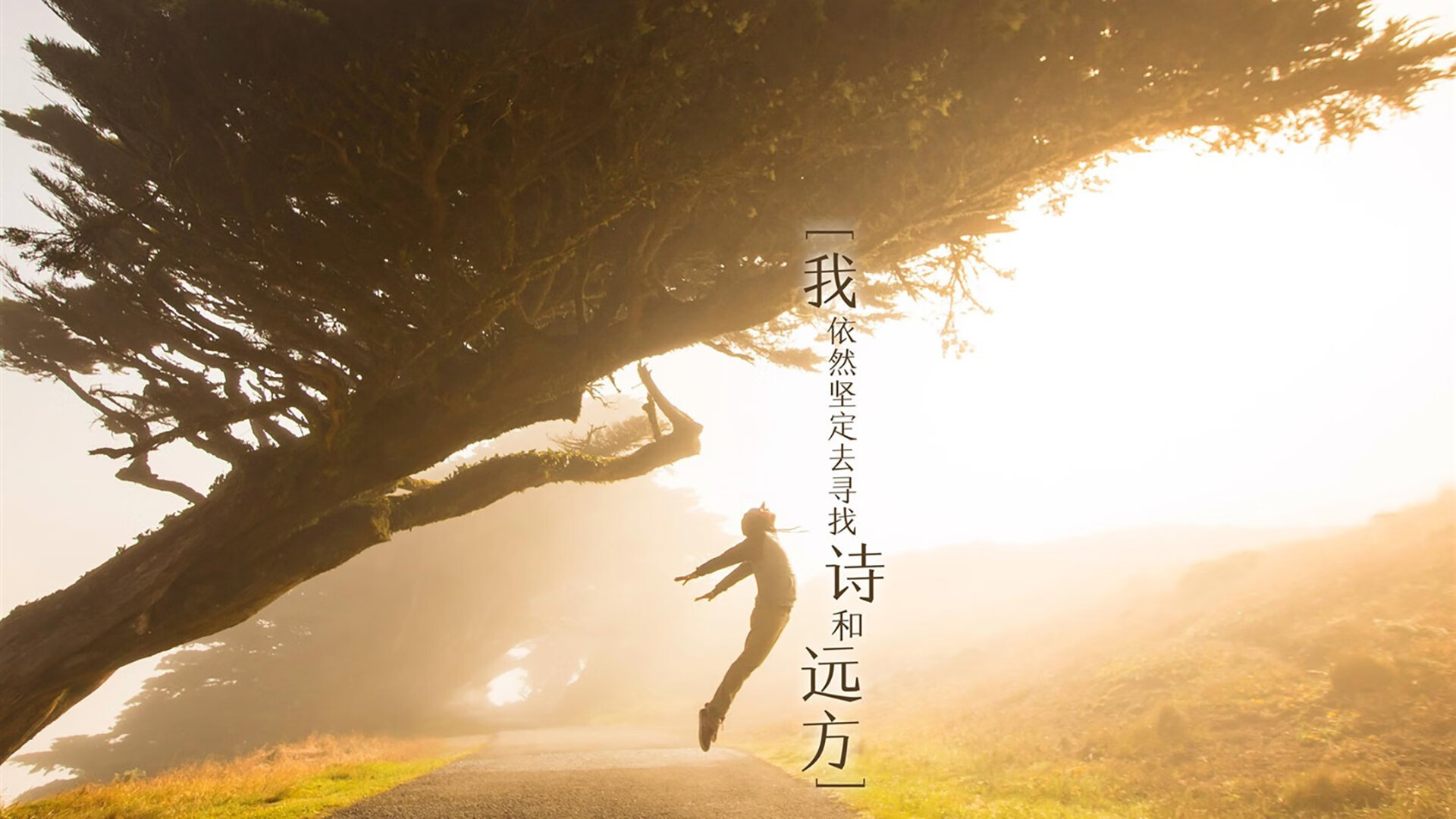 双线传奇,勇士末节主宰掘金,保罗F1争冠赛点接管
