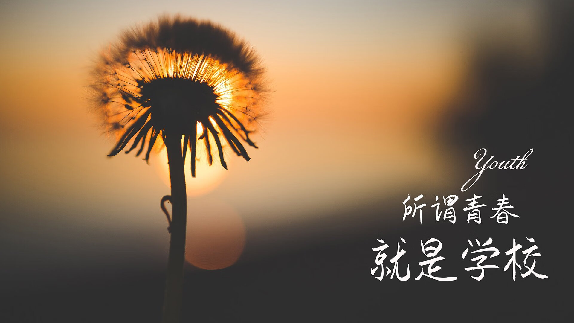 开云sport-多瑙河之波，与奥林匹克神的一次握手—2026世界杯半决赛重塑足球美学