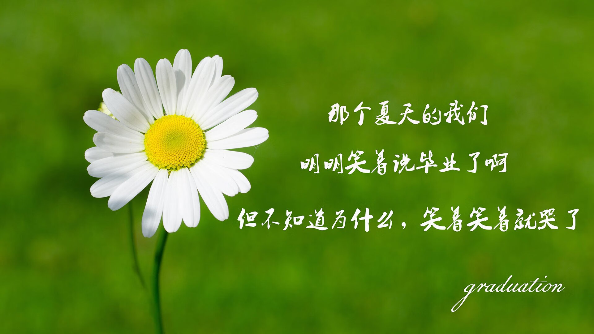 开云体育入口-铁幕裂隙，2026世界杯H组，巴西的意志涅槃与卢卡库的孤星闪耀