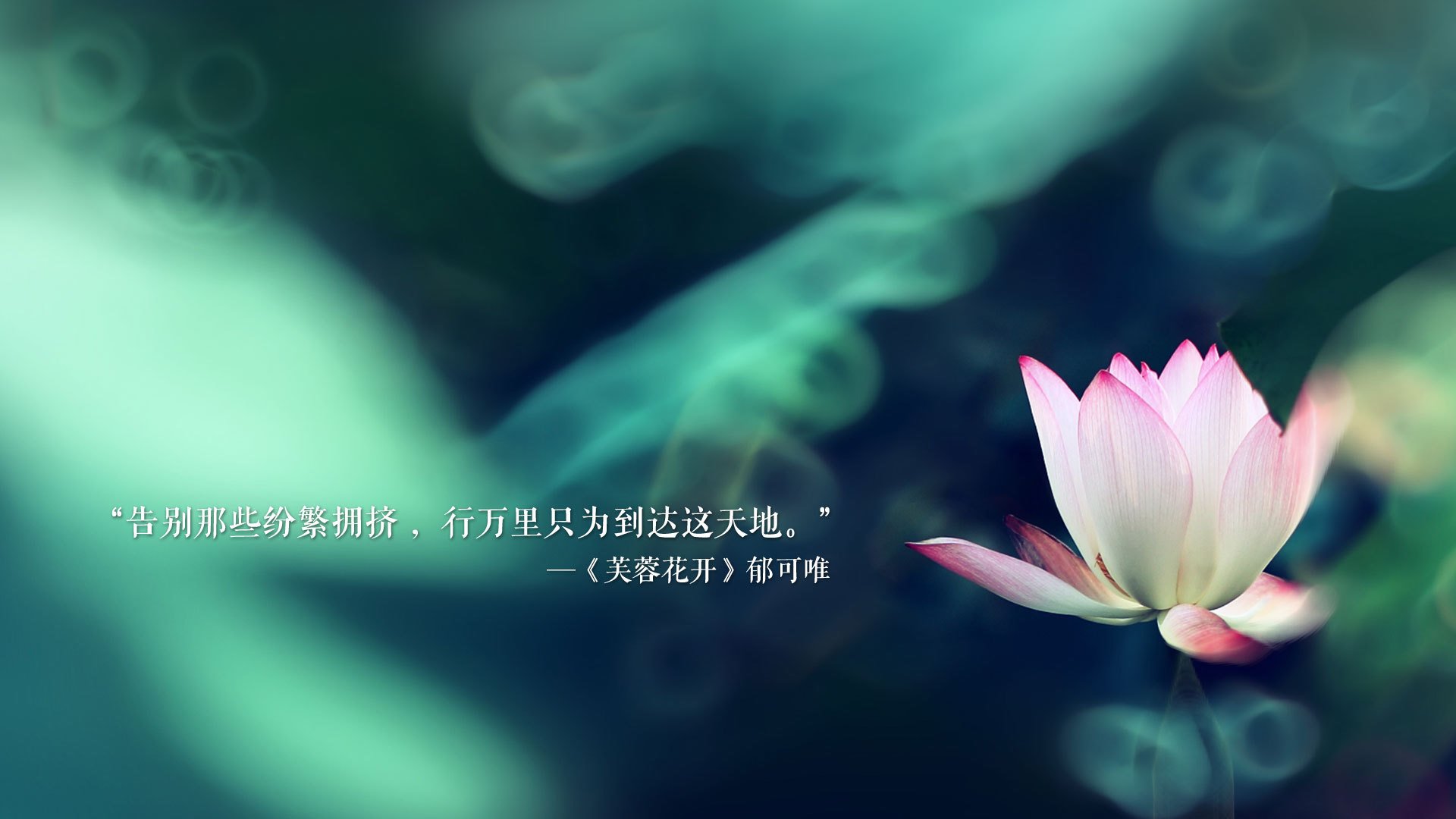 那道唯一能拐弯的月光,2026世界杯,拉什福德与美利坚的宿命之夜