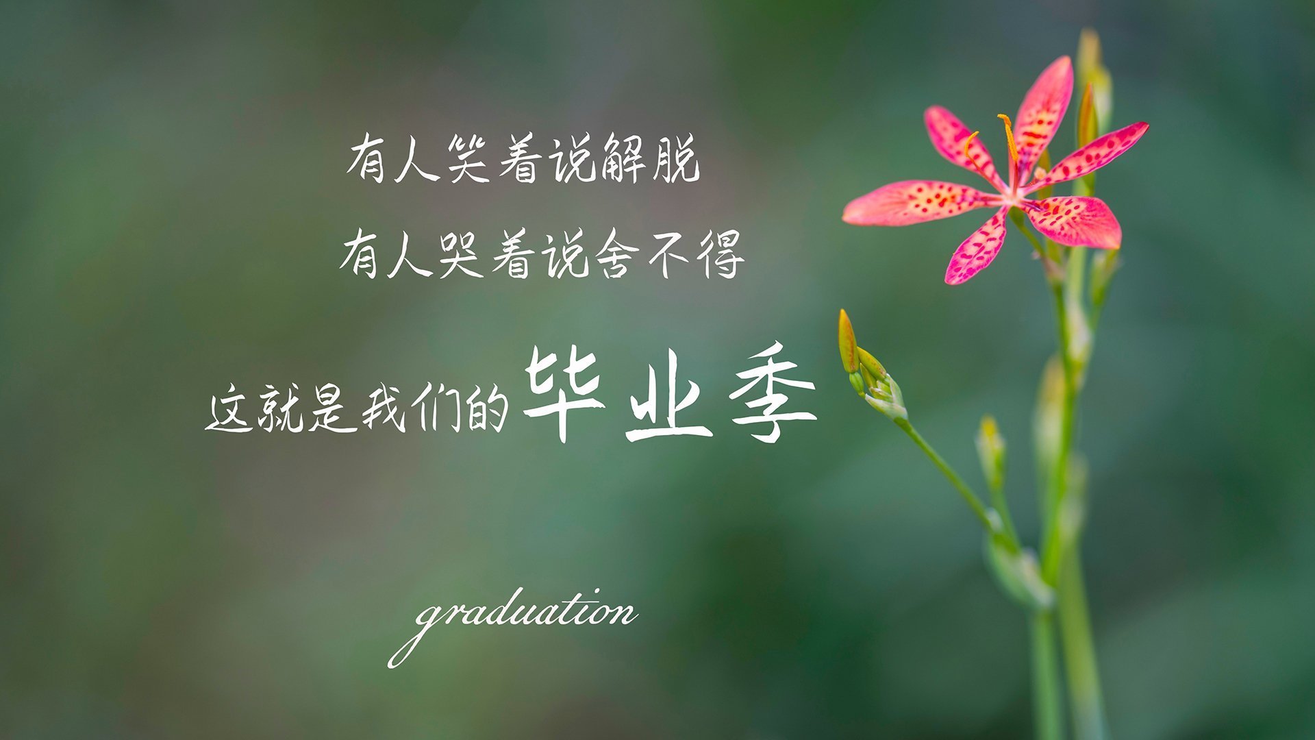 开云体育中国-钢铁闪电，汉江奇迹在卡塔尔重演？迪亚斯导演闪电战，法国高卢雄鸡折戟2026 H组