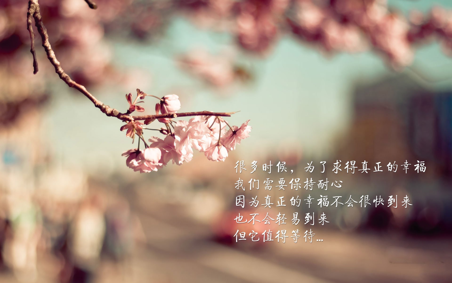 冰与火的孤绝,2026世界杯E组的唯一性瞬间,萨内刺穿维京悲歌